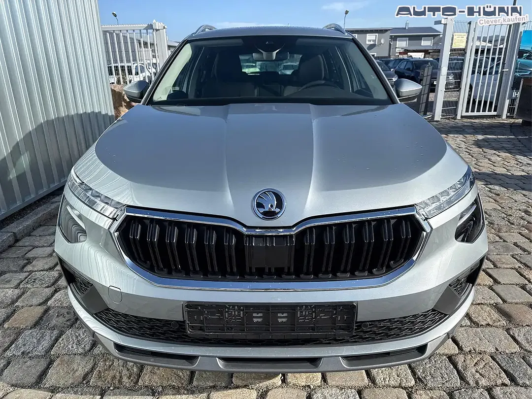 Skoda Kamiq - Thumbnail 2