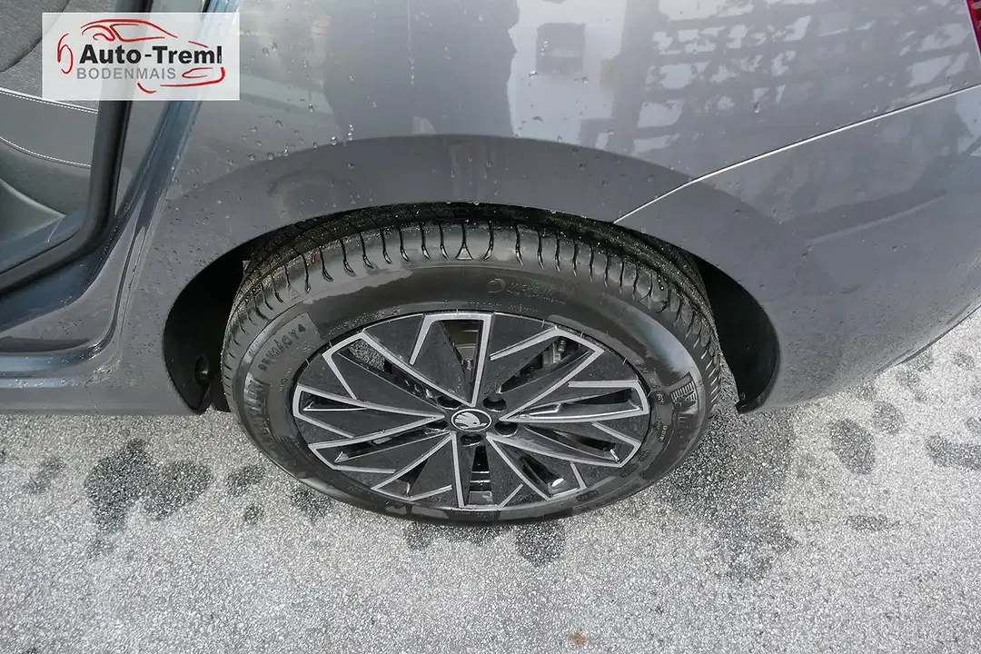 Skoda Kamiq - Thumbnail 10