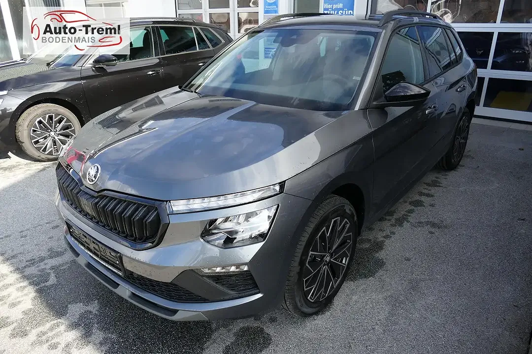 Skoda Kamiq - Thumbnail 7