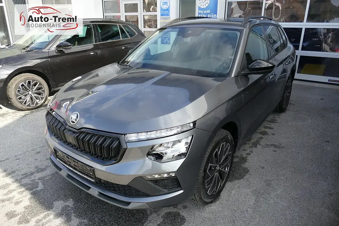 Skoda Kamiq - Thumbnail 8