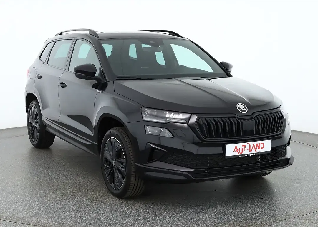 Skoda Karoq - Thumbnail 6