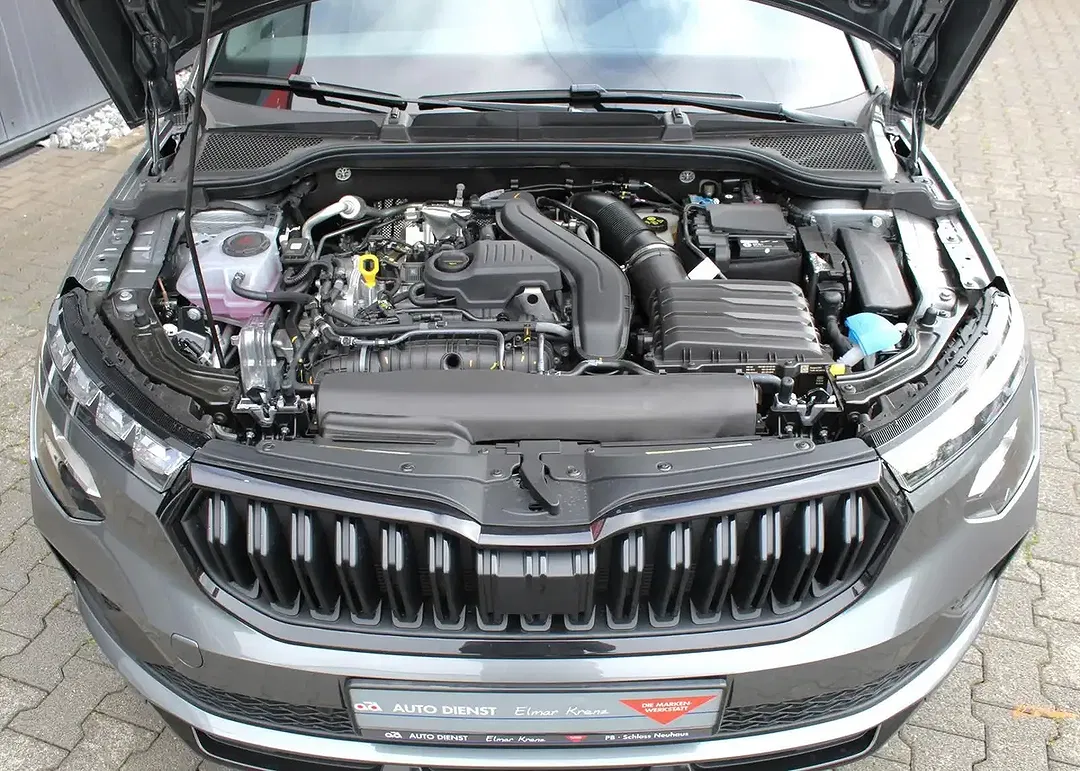 Skoda Kamiq - Thumbnail 11