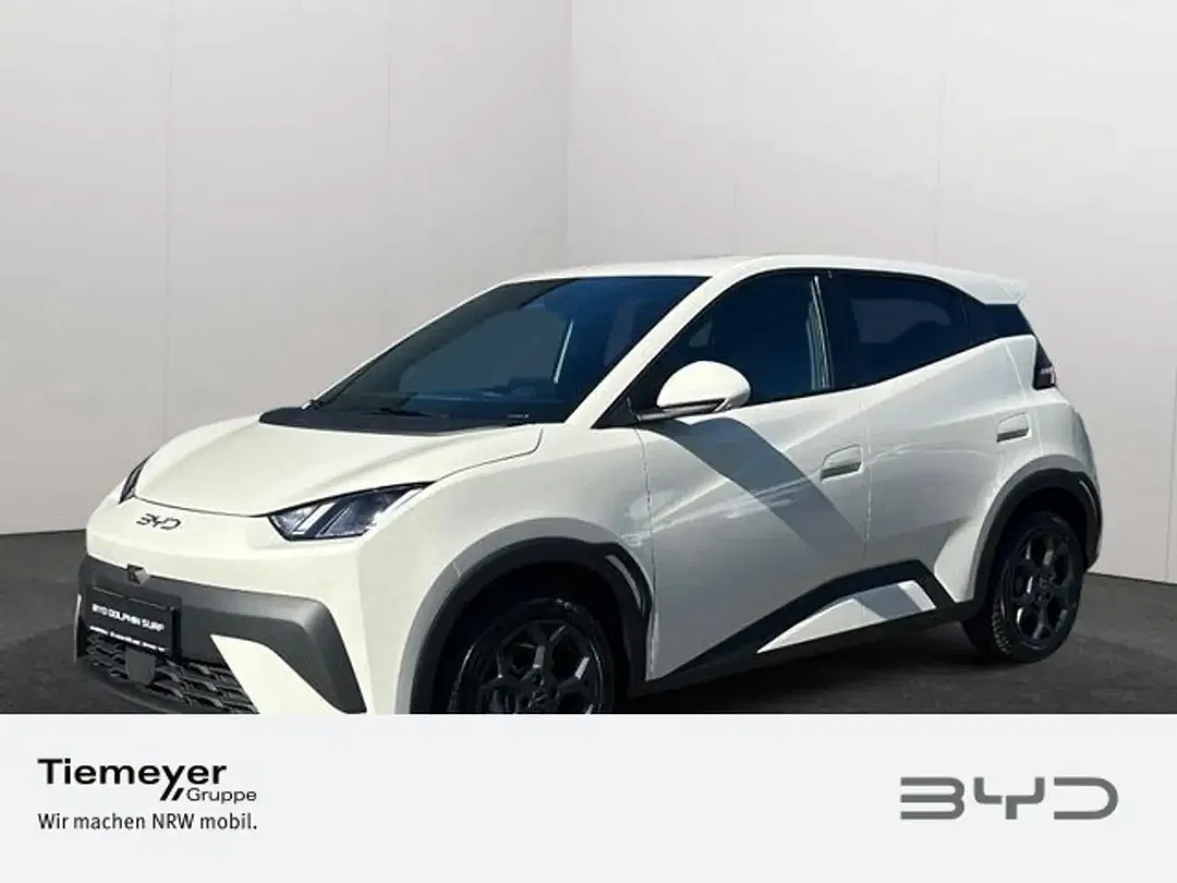 BYD Dolphin - Thumbnail 1