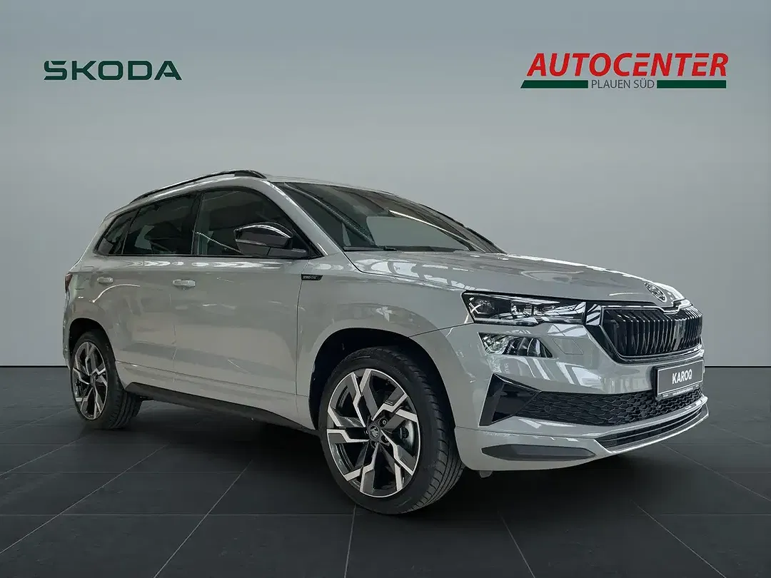 Skoda Karoq - Thumbnail 4