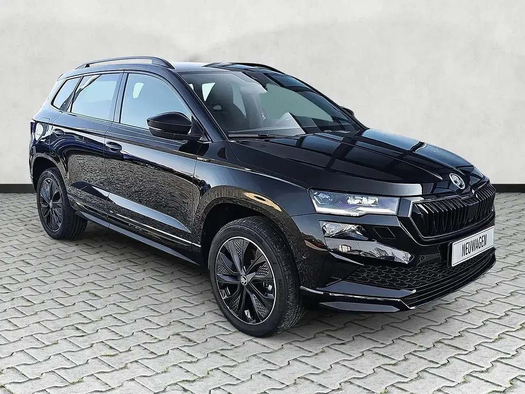 Skoda Karoq - Thumbnail 1