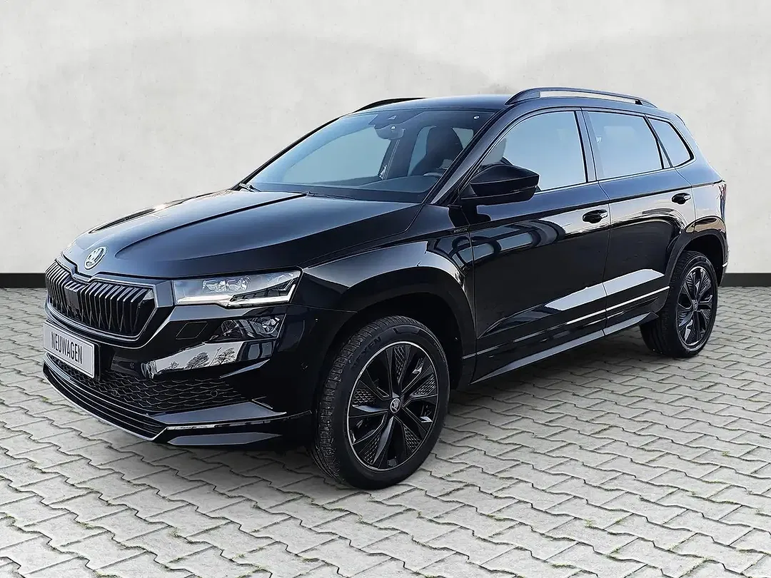 Skoda Karoq - Thumbnail 3