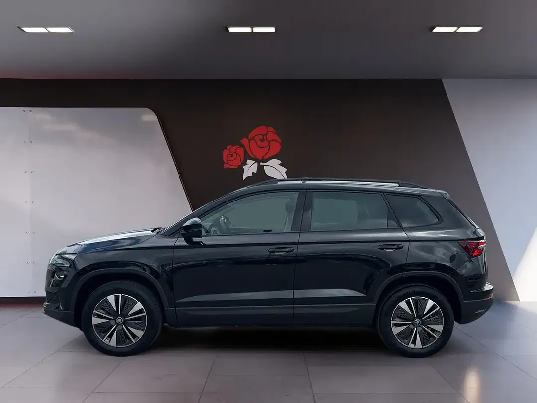Skoda Karoq - Thumbnail 2