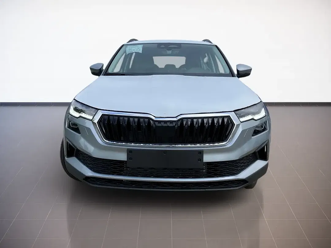 Skoda Karoq - Thumbnail 2