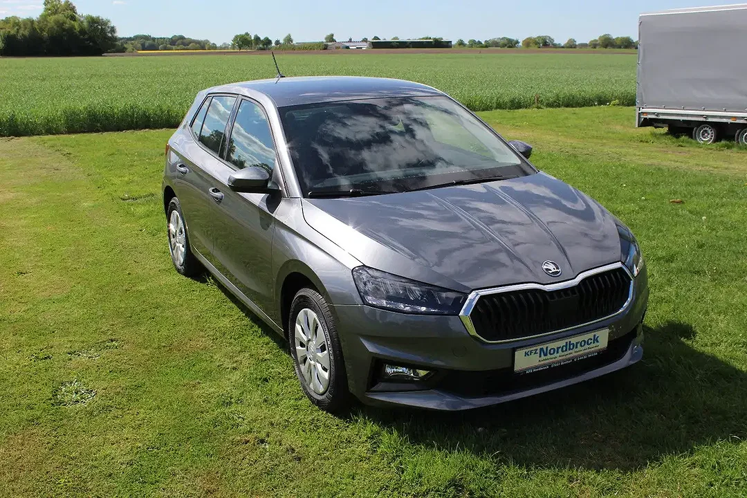 Skoda Fabia - Afbeelding 1