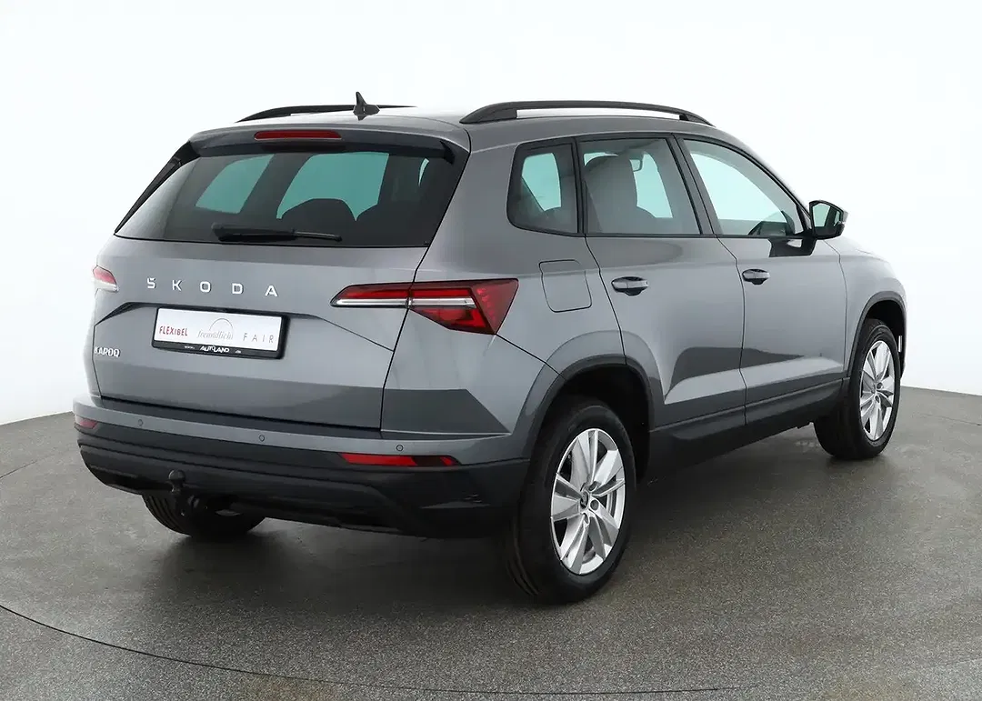 Skoda Karoq - Thumbnail 4
