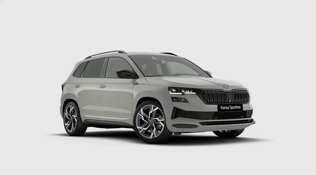 Skoda Karoq - Thumbnail 13