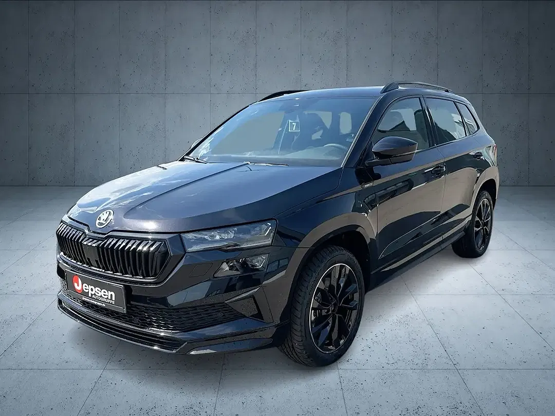 Skoda Karoq - Thumbnail 1