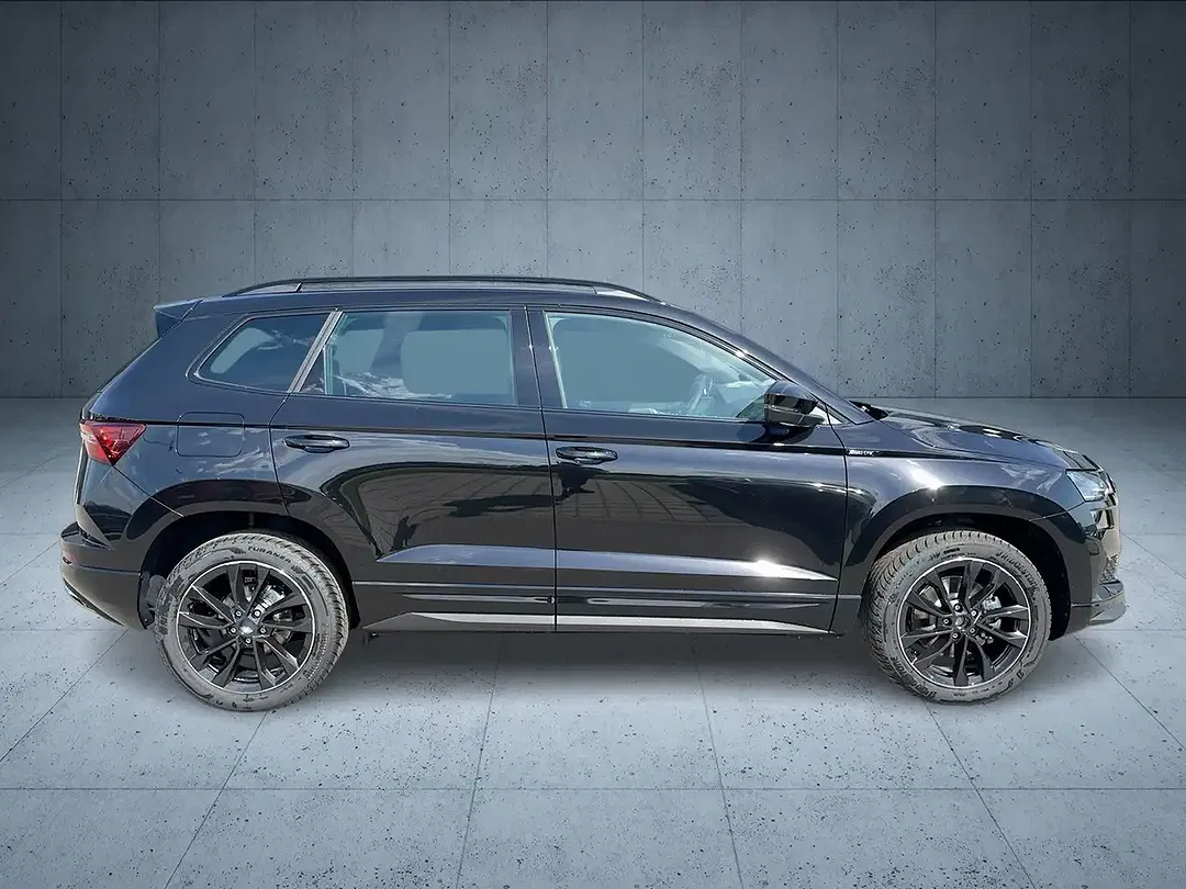 Skoda Karoq - Thumbnail 6