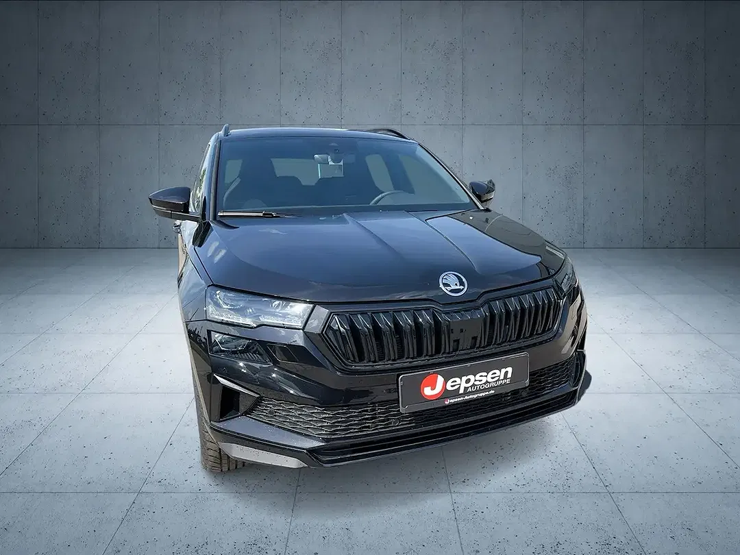 Skoda Karoq - Thumbnail 8