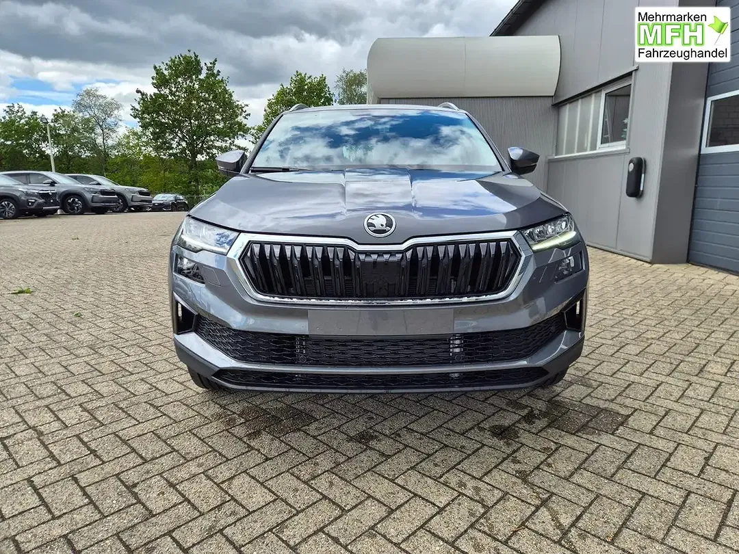 Skoda Karoq - Thumbnail 8