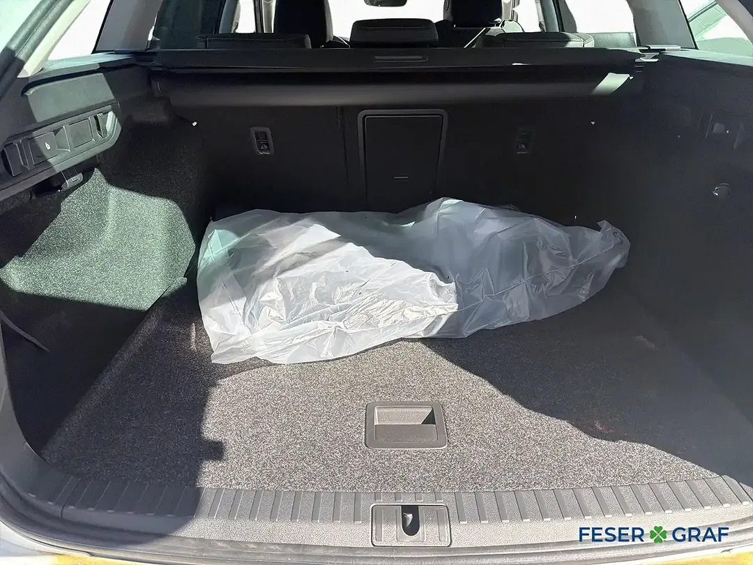 Skoda Octavia - Thumbnail 6