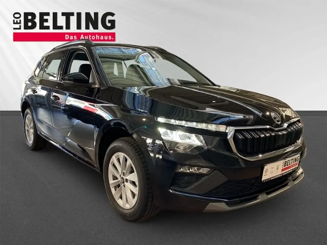 Skoda Kamiq - Thumbnail 2