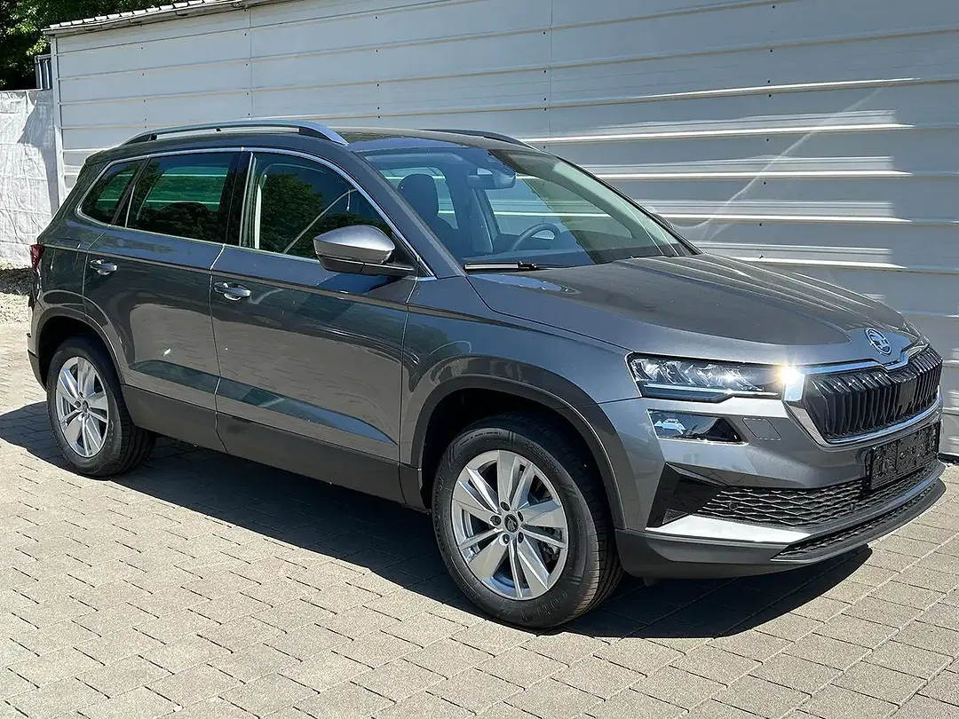 Skoda Karoq - Thumbnail 1