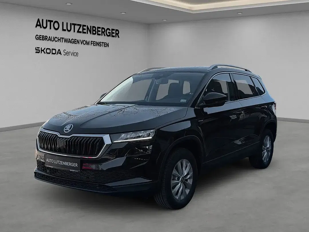 Skoda Karoq - Thumbnail 8