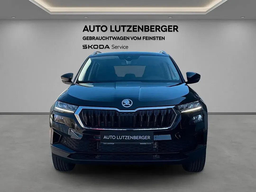 Skoda Karoq - Thumbnail 9