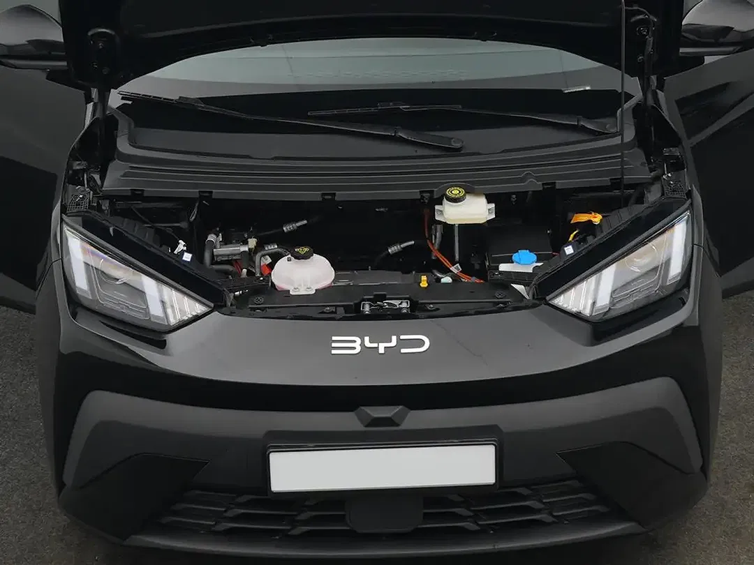 BYD Dolphin - Thumbnail 5