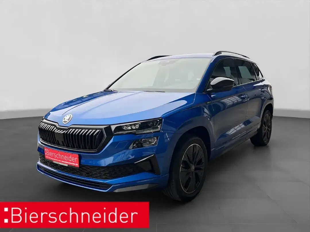 Skoda Karoq - Thumbnail 1