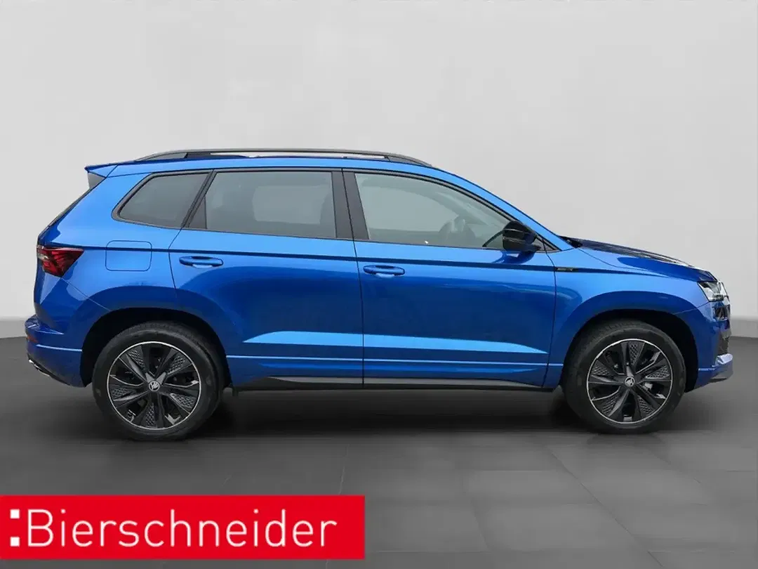 Skoda Karoq - Thumbnail 6
