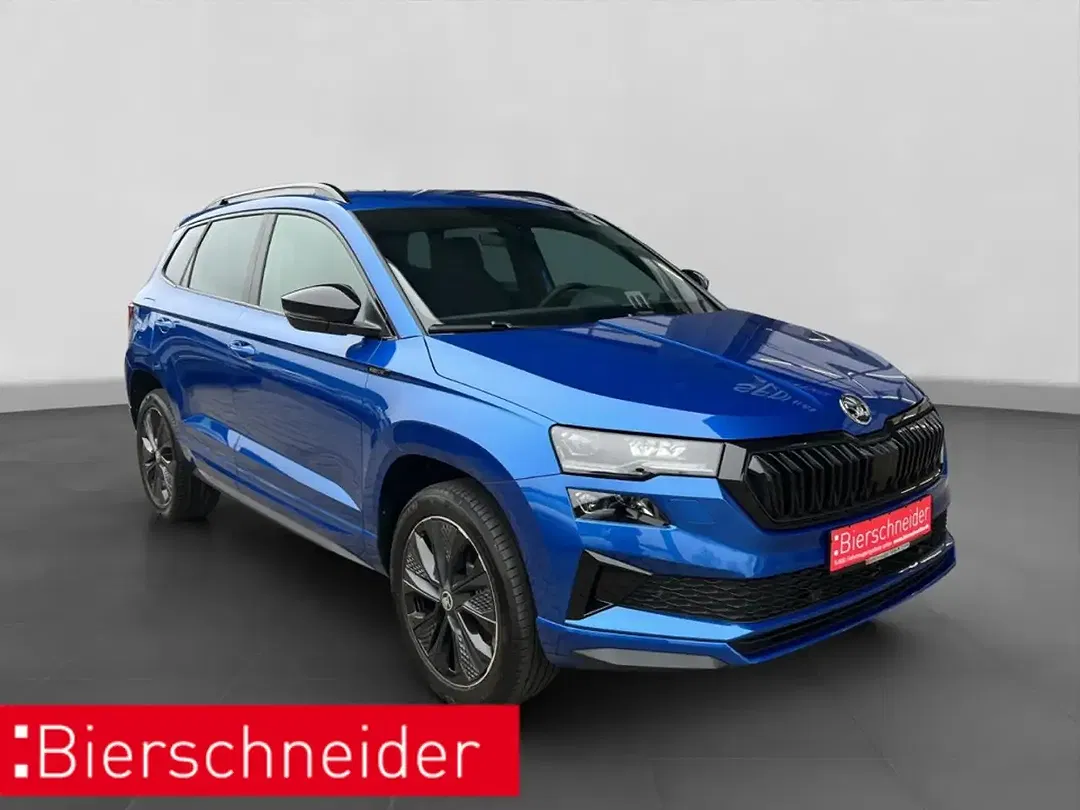 Skoda Karoq - Thumbnail 8