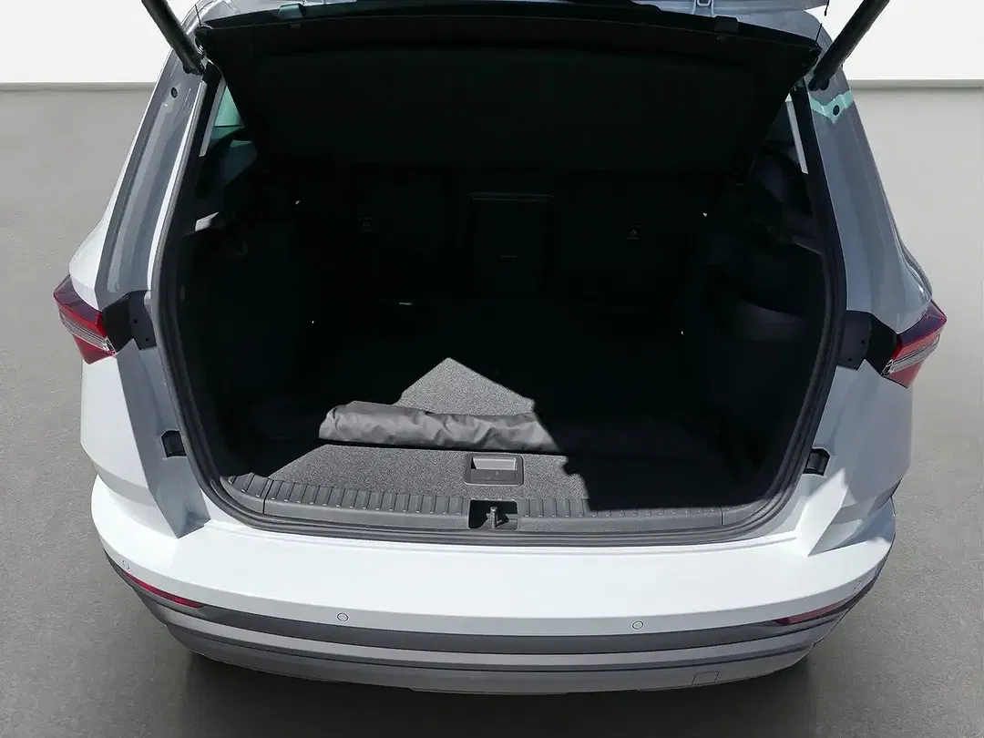 Skoda Karoq - Thumbnail 10