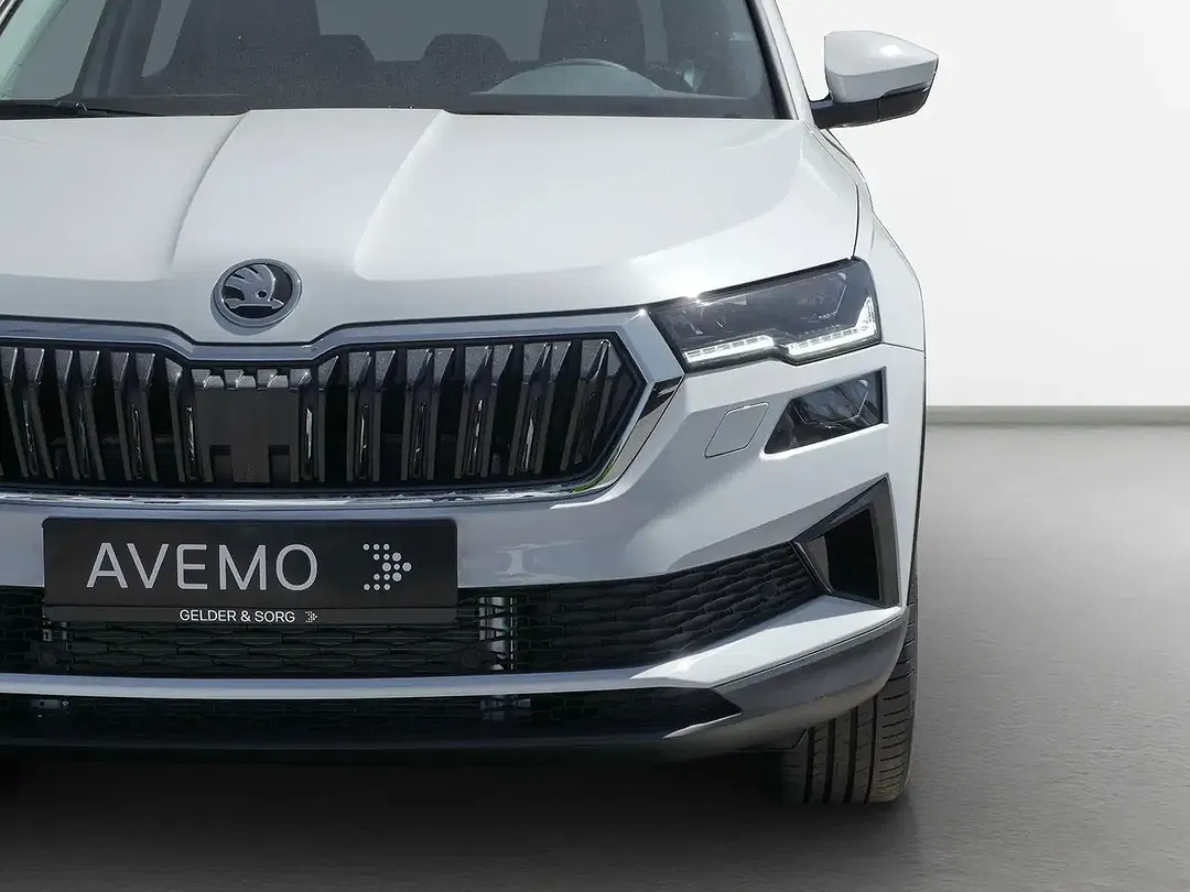 Skoda Karoq - Thumbnail 11