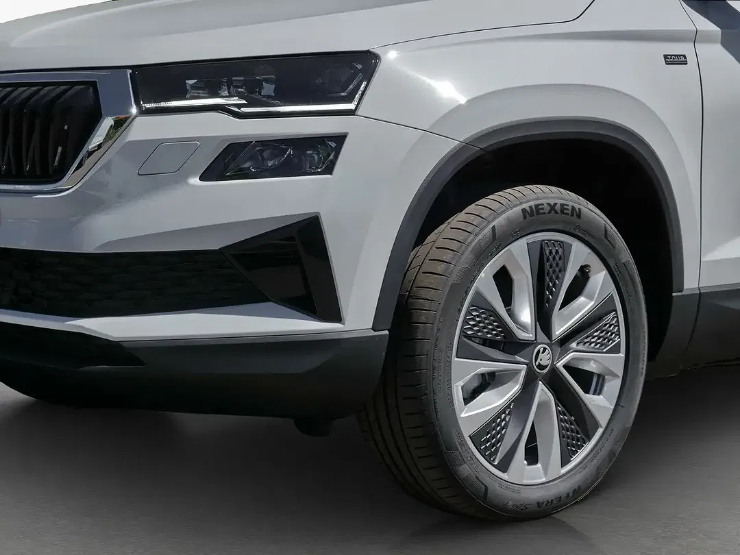 Skoda Karoq - Thumbnail 12