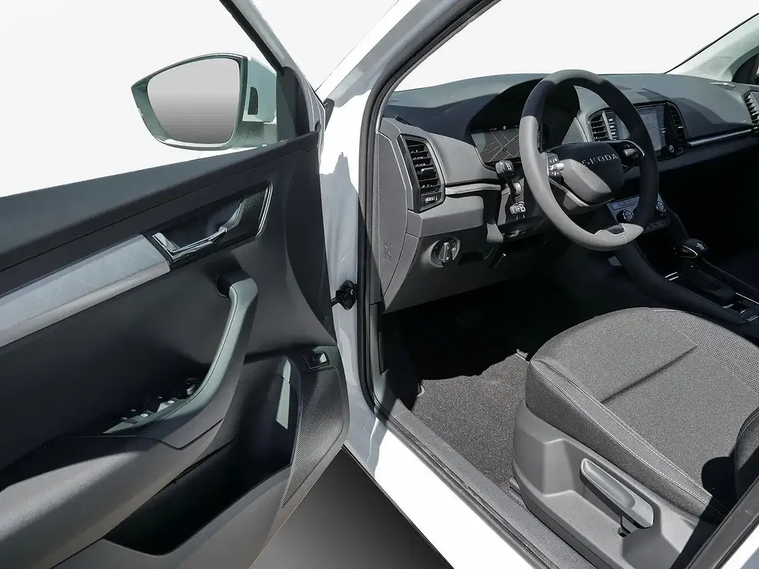 Skoda Karoq - Thumbnail 13