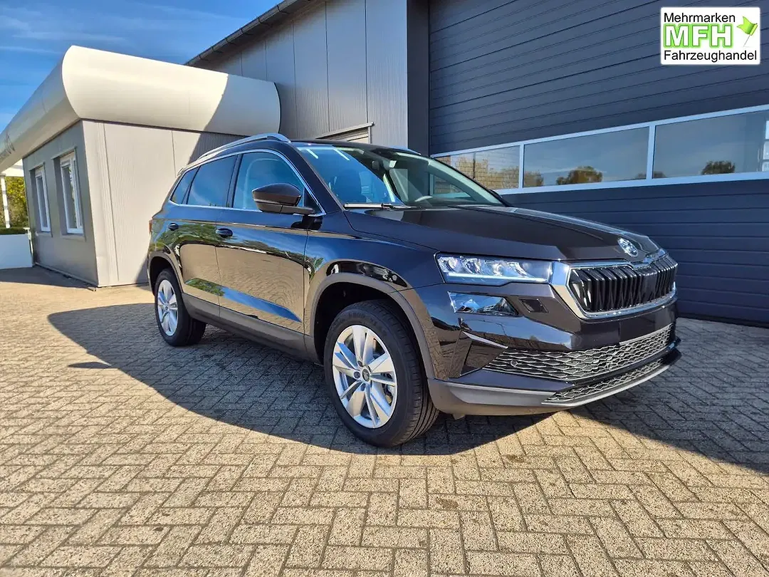 Skoda Karoq - Thumbnail 7