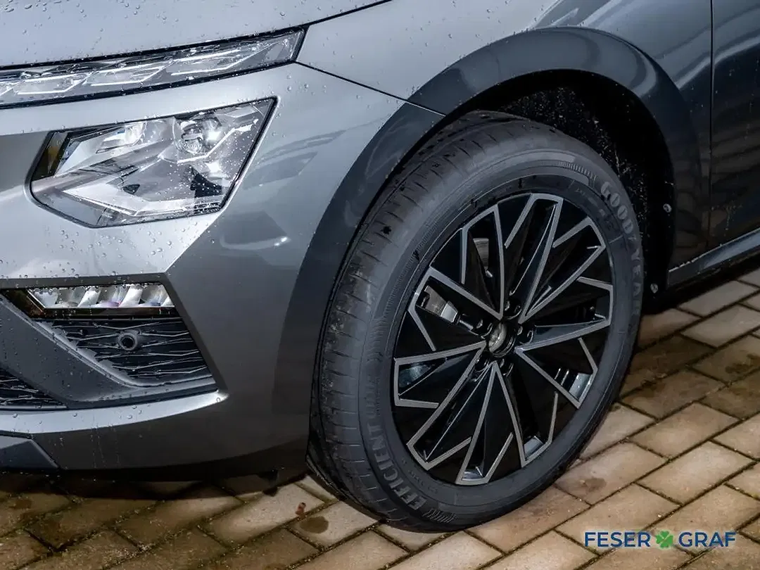 Skoda Kamiq - Thumbnail 10