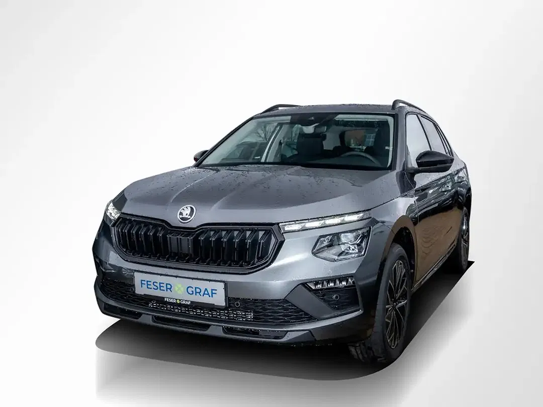 Skoda Kamiq - Thumbnail 11