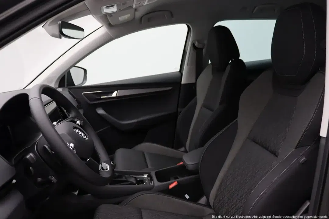Skoda Karoq - Thumbnail 14