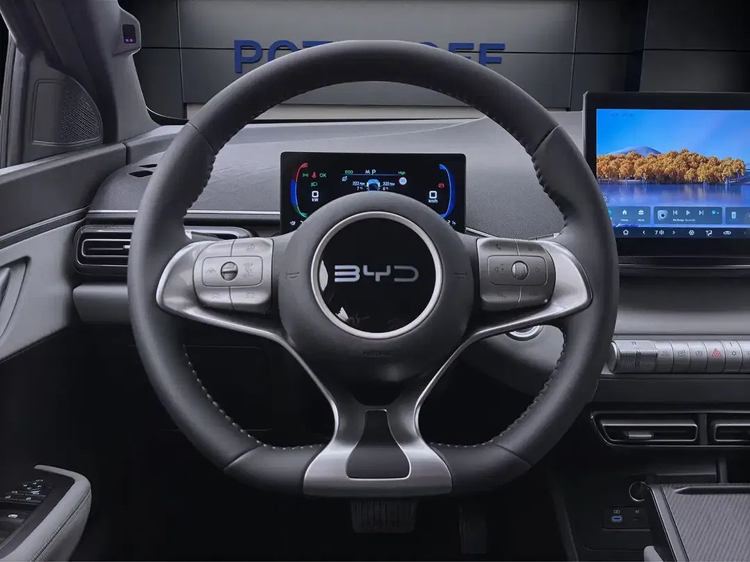 BYD Dolphin Surf - Thumbnail 12