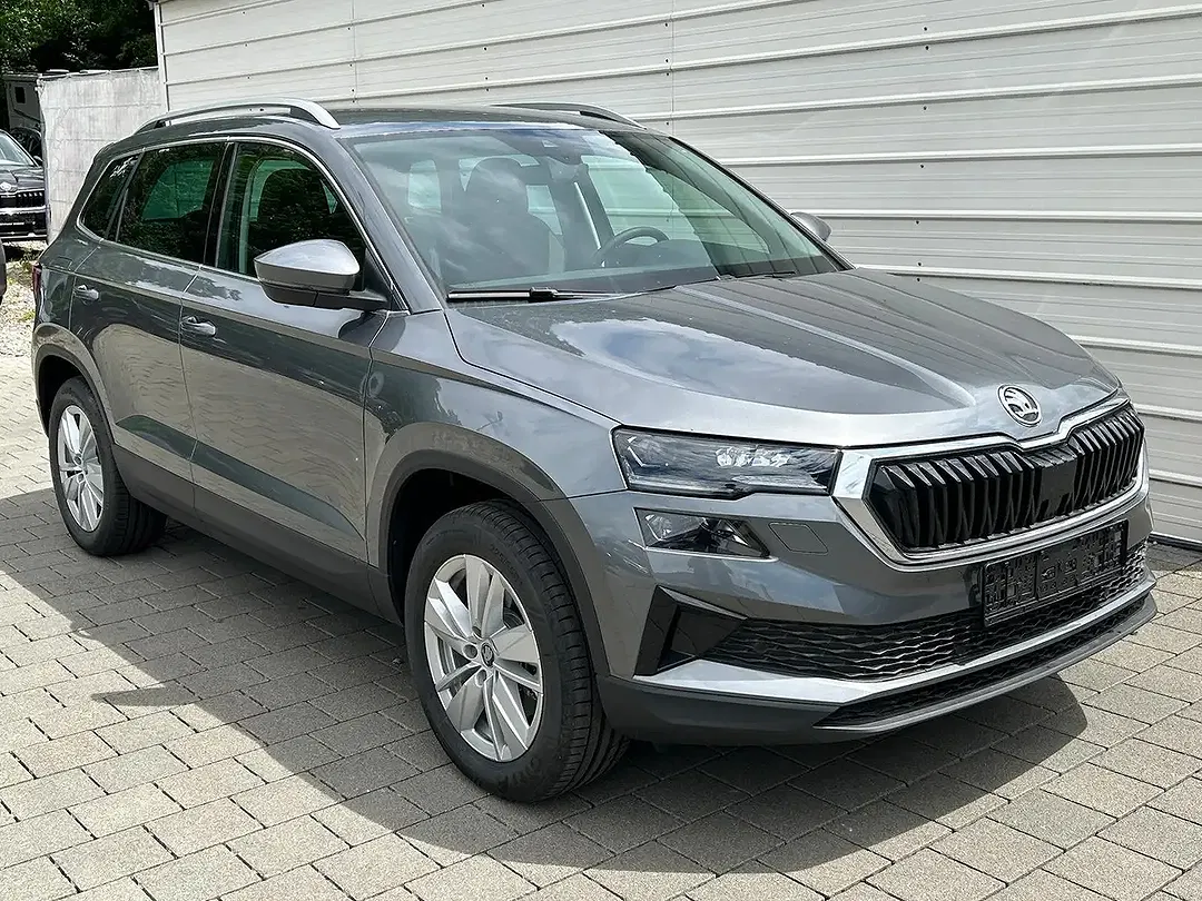 Skoda Karoq - Thumbnail 1