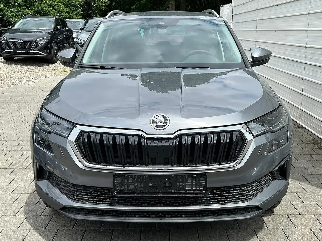 Skoda Karoq - Thumbnail 2