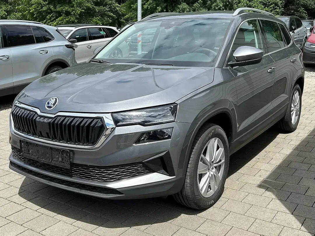 Skoda Karoq - Thumbnail 3