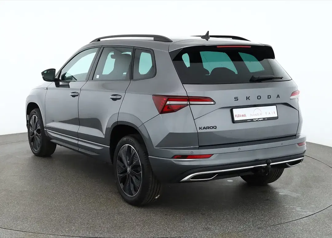 Skoda Karoq - Thumbnail 2