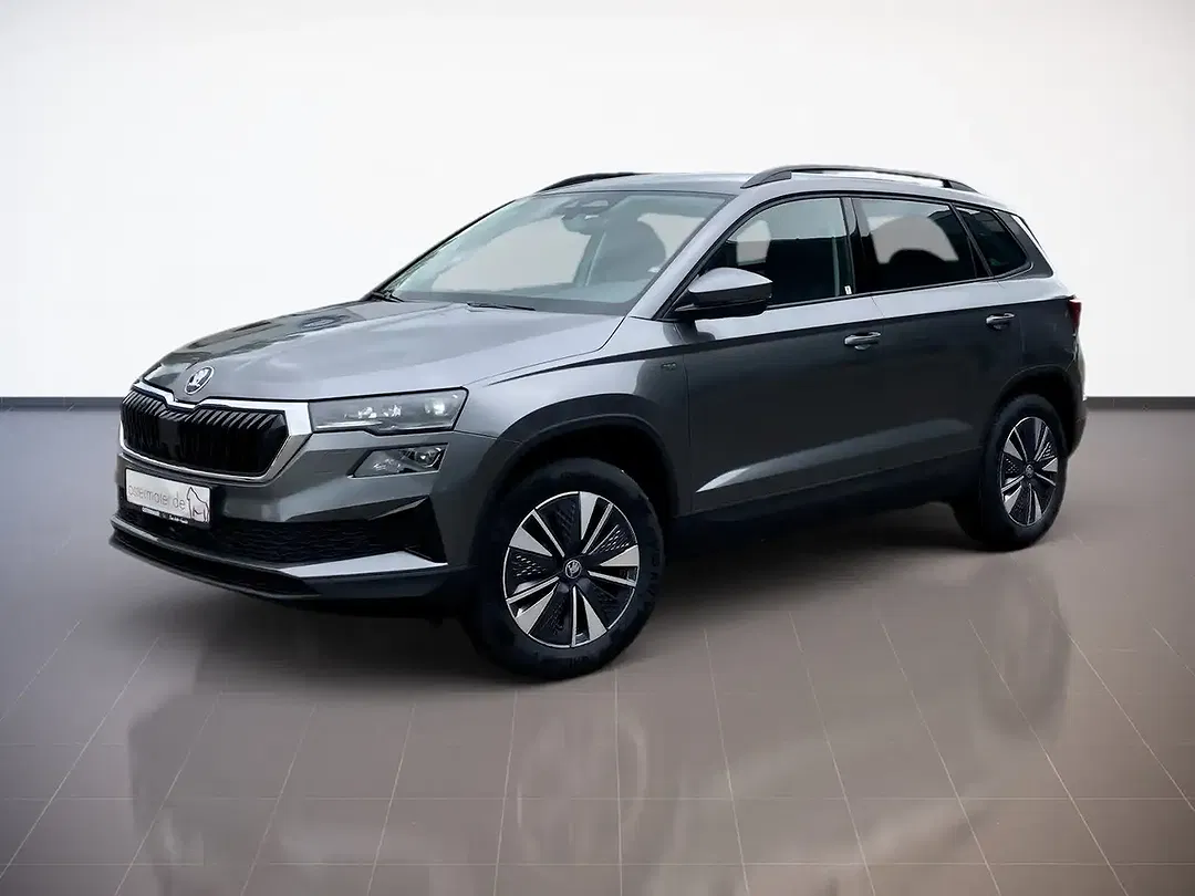 Skoda Karoq - Thumbnail 1