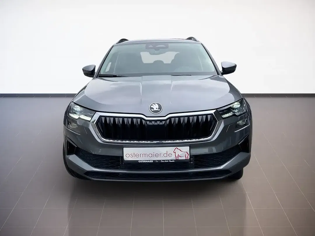 Skoda Karoq - Thumbnail 2