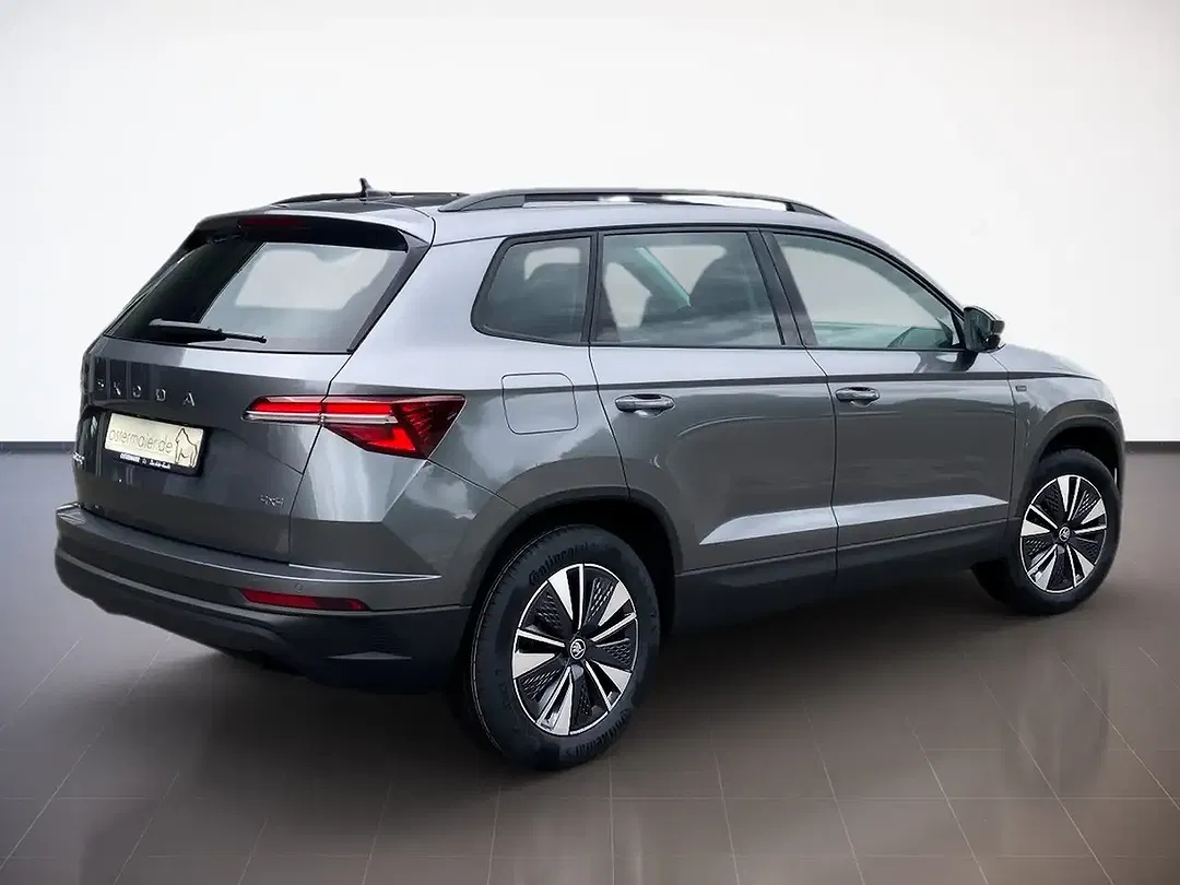 Skoda Karoq - Thumbnail 3
