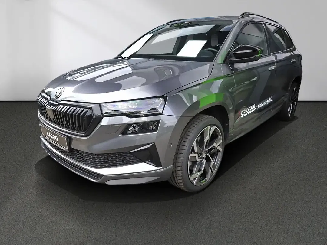 Skoda Karoq - Thumbnail 14