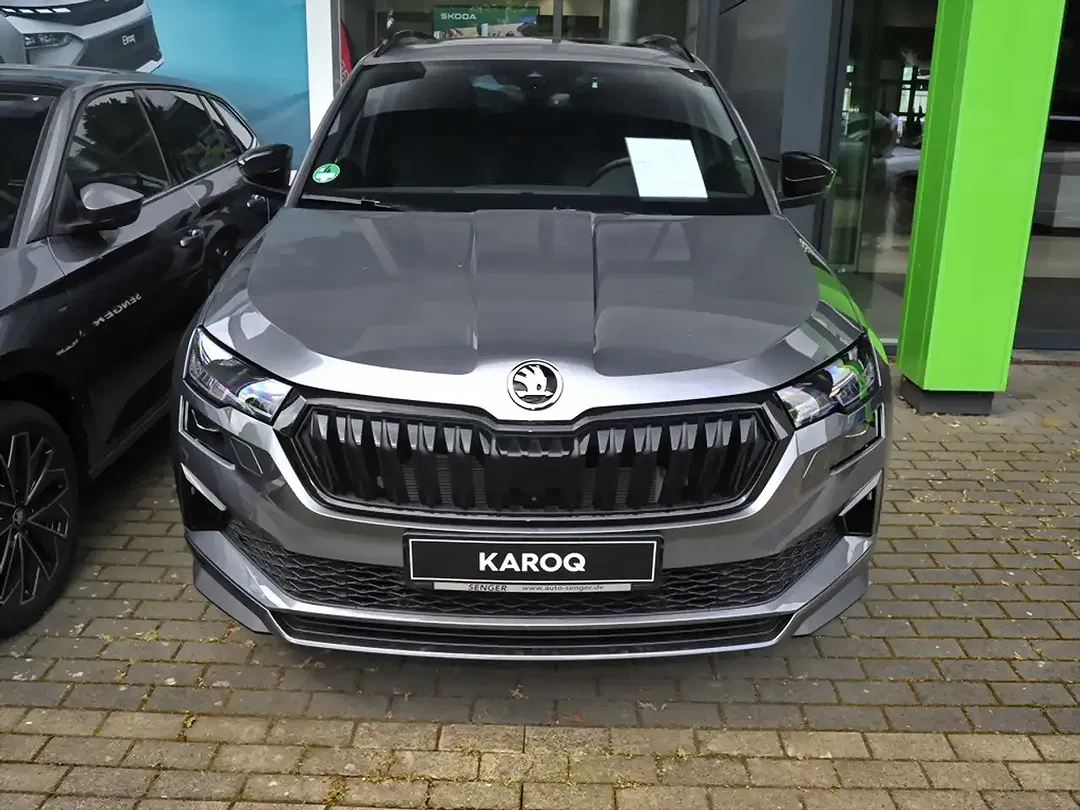 Skoda Karoq - Thumbnail 2