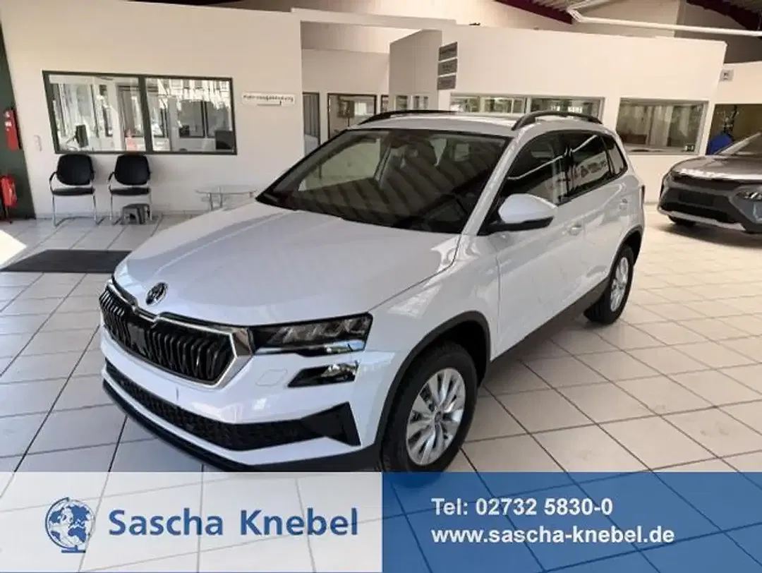 Skoda Karoq - Thumbnail 1