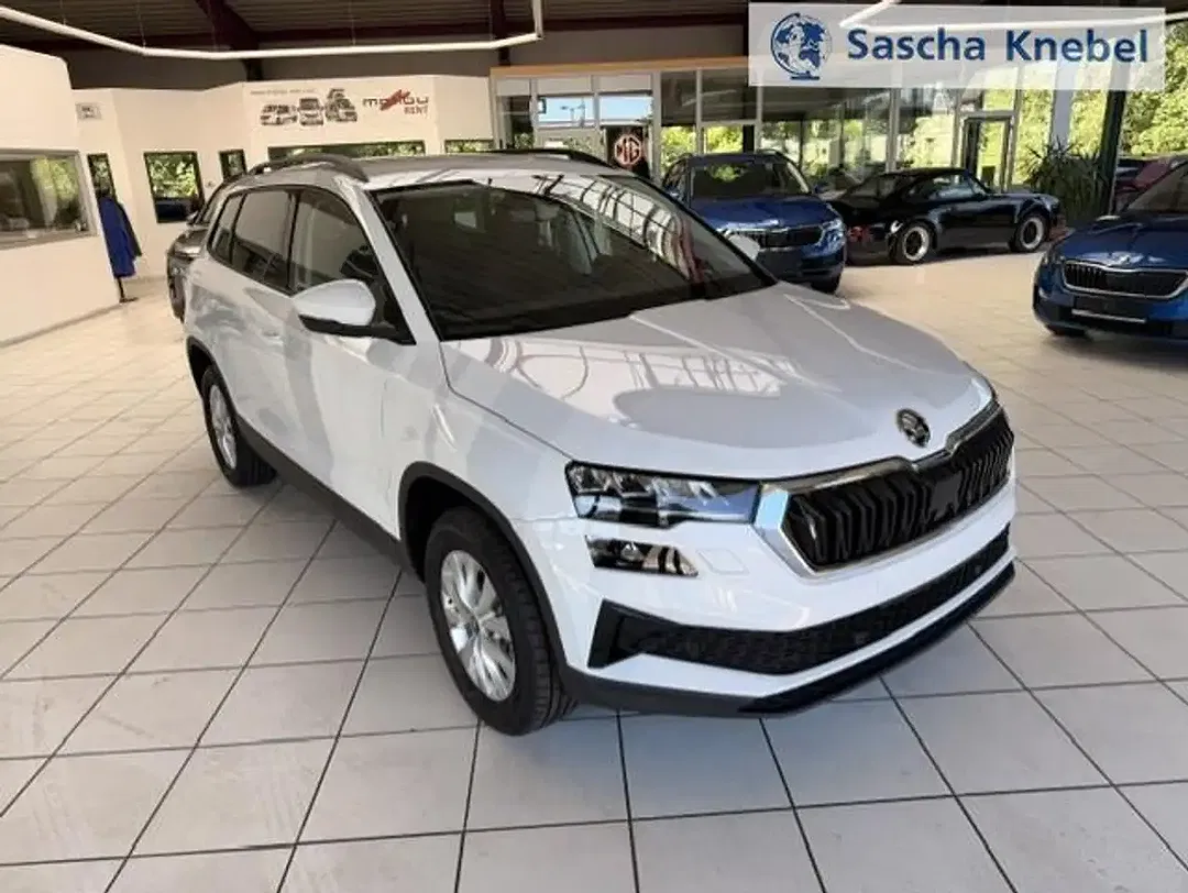 Skoda Karoq - Thumbnail 4
