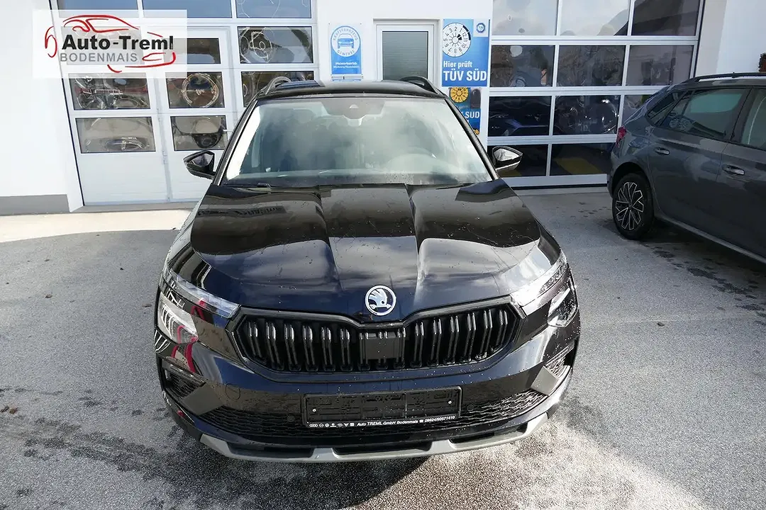 Skoda Kamiq - Thumbnail 8