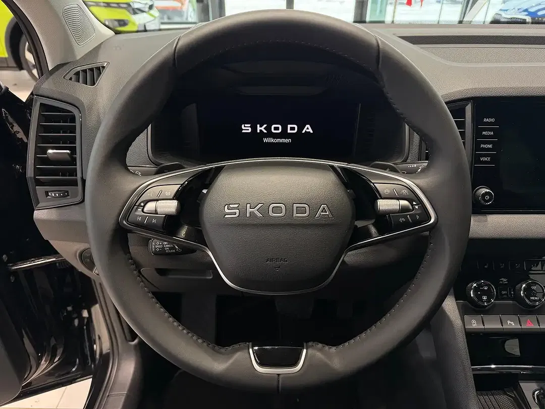 Skoda Karoq - Thumbnail 10